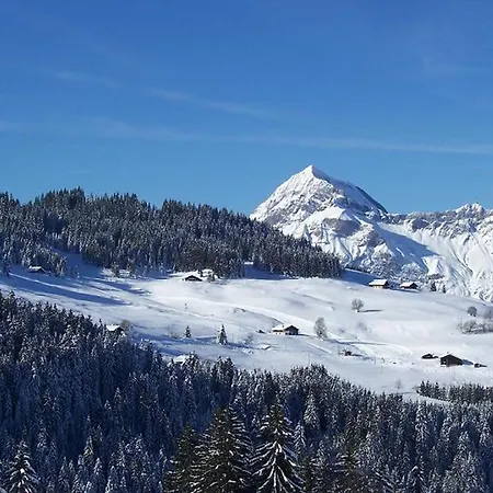 Au Pied Des Pistes, Animaux Admis - Fr-1-505-79 アパート ノートル・ダム・ド・ベルコンブ