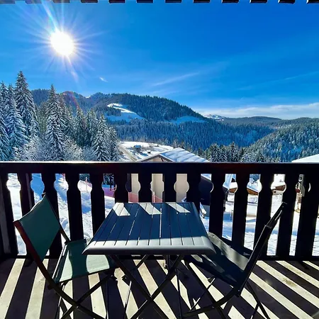 Charmant Studio Au Pied Des Pistes, Animaux Admis - Fr-1-505-79 Apartment *